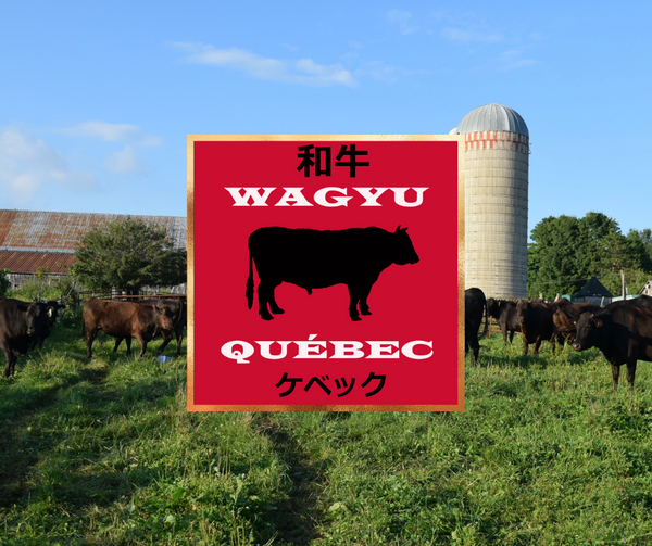 Saucisson de boeuf WAGYU QUÉBEC